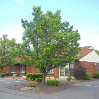 North Penn Manor