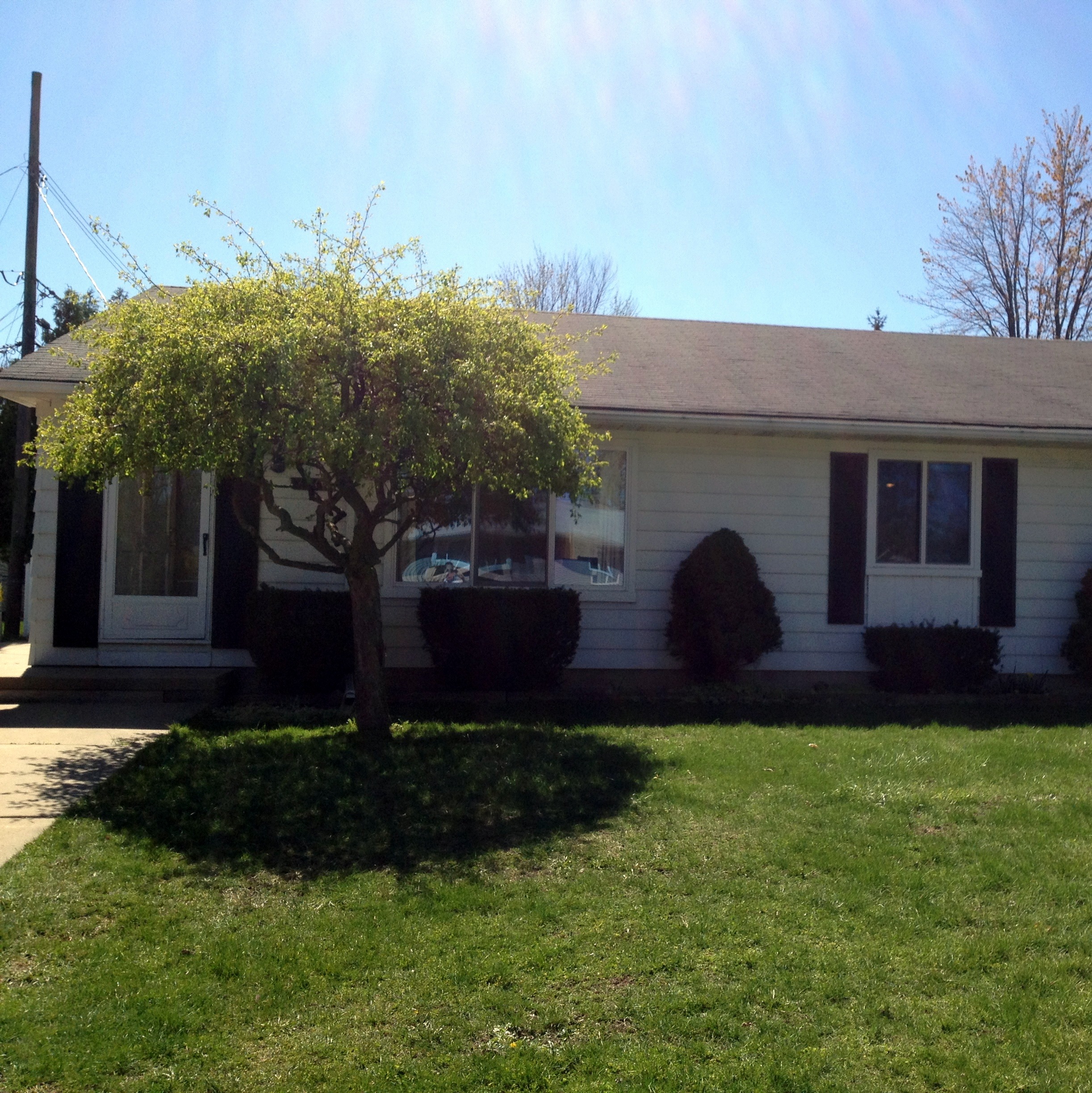 The Trombley Home