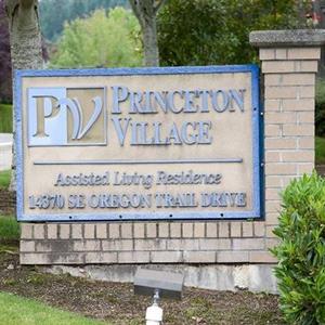Princeton Village
