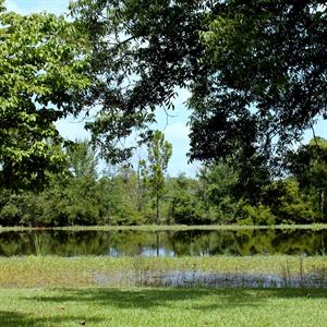 Gentilly Gardens