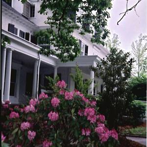 LifeSpring Assisted Living